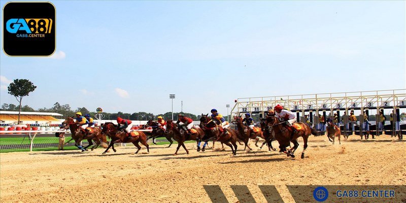 Không tham gia toàn bộ vốn vào 1 kèo duy nhất